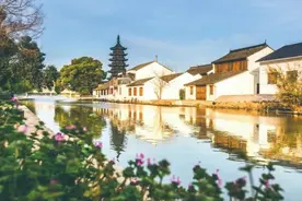 上海这个千年古镇今天开街！失传已久的这款美食回归！好吃好玩的攻略来了！图片