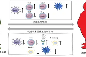 代谢手术——手术刀调控代谢和免疫图片