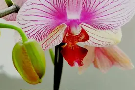 藝文视界 | 你懂的事……图片