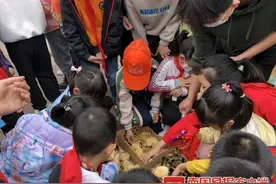 南宁不少摊贩在小学周边卖鸡鸭，众多学生购买！记者调查发现……图片