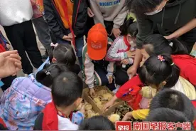 南宁不少摊贩在小学周边卖鸡鸭，众多学生购买！记者调查发现……图片