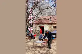 乡村日记｜乡愁依依，又见故乡杏花开图片