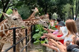 广州动物园优化入园措施，游客可分时段线上预约购票图片
