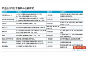 智能驾驶功能需付费解锁 车载软件该不该收费？图片