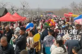 果然视频｜泰安宁阳梨花节，商户云集，游客如织图片
