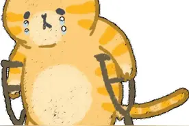 买回萌猫变跛猫 买卖双方对簿公堂 法院：宠物店退还购猫款支付检查费图片