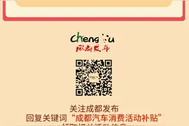 重磅！汽车消费活动购车补贴细则出炉图片