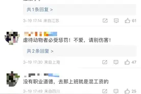 IPO中的最大宠物医院新瑞鹏被爆“虐猫”，家长们还能放心吗？图片