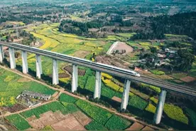 西成高铁开售计次票和定期票！图片