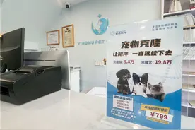 青年调查｜30万克隆一只边牧犬，还要排队等上3年……到底是谁在克隆宠物？图片