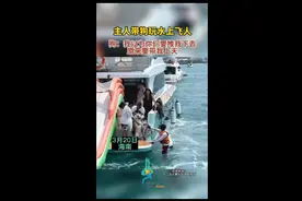 主人带狗玩水上飞人，狗：我以为你们要推我下去原来要带我上天图片