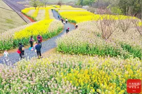 镜头丨春和景明 万物可亲图片