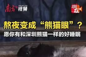 视频 | 动物界呆萌睡姿大比拼，哪款你爱了？图片