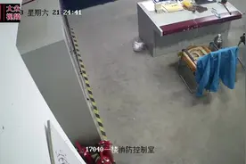 大雁受伤，民警救助图片