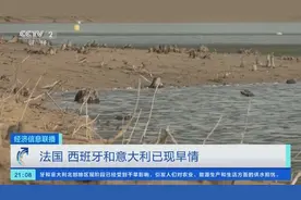 最高气温29.1℃！澳大利亚悉尼或经历有史以来最热三月！全球多国出现异常高温或旱情图片