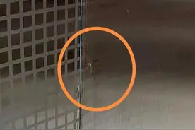 刚三月就有蚊子？专家：天气暖得早，“越冬蚊”苏醒了图片