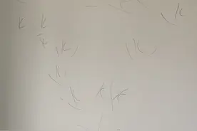 蔚蓝天地新房地面开裂形似蜘蛛网，有房间整面墙全是空鼓图片