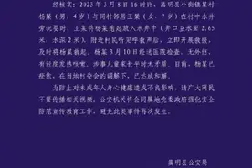 警方通报女孩将小男孩扔入井里：男孩已痊愈，双方已达成和解图片