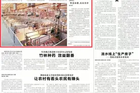 探寻田野上的智慧③丨点点手机，“猪事”搞定图片