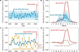野火烧不尽，___________图片