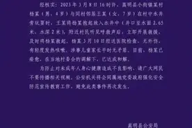 警方通报女孩将小男孩扔井中：男孩已痊愈，双方达成和解图片