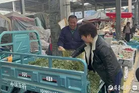 济南野菜上市，有商家一天卖1500斤，专家：购买时应注意辨别图片