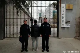 男子拍视频挑衅泰山防火宣传，警方：行政拘留五日图片