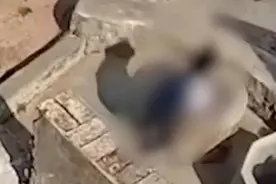 7岁女孩将男孩投入井中，这两方面警示不可不察 | 新京报快评图片