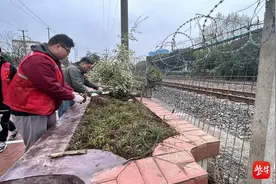 南京秦淮区全面整治提升辖区铁路、高速沿线环境图片