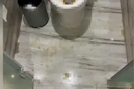 #男子住五星级酒店遇马桶故障被污秽物喷一身# 酒店赔一份果盘引争议图片