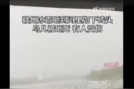 大如鸡蛋，“像放鞭炮”！多地下冰雹，车窗被砸稀烂，鸟儿被砸死图片