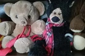 地摊套中的玩具熊暗藏摄像头，不能只当段子看丨时评图片