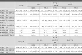山东海化：2022年净利润同比增长47.60% 拟10派1元图片