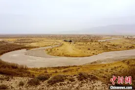 世界最高海拔胡杨林保护成效明显：植被面积扩大野生动物增多图片