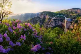 “春漾淄川”十大踏青赏花地及精品线路发布图片