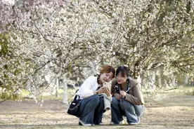 多地学校放3-10天的春假，倡导“去感受春天的美好”图片