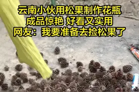 云南小伙用松果制作花瓶图片