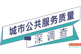 共享电单车乱与治图片