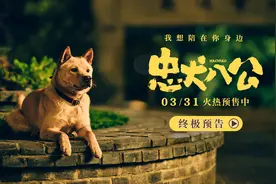 《忠犬八公》曝终极预告，小狗八筒用尽一生等待主人归来图片