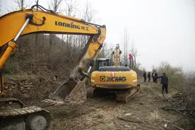 河南禹州市文殊镇探索特色经济发展：荒山种果树 吐绿又生金图片