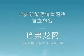 将推出枭龙和枭龙MAX 哈弗新能源销售网络定名“哈弗龙网”图片