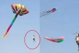 惊险！男子放30米巨型风筝被带上天，这些安全事项必须知道图片