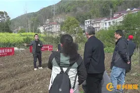 玉米驱鸟新突破  助力农忙生产图片