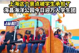 “春游模式”已开启，上海这个景点已被学生承包，单日迎来万人团图片