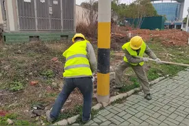 “拔杆”行动！这个区拆除48根无主废弃线杆图片