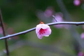 自信，是自己给的图片