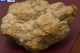 澳洲男子用廉价金属探测器寻获4.6公斤天然金块：我太太会很开心图片