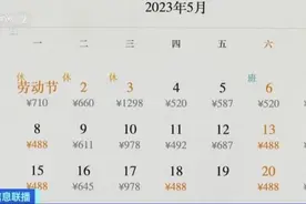 国际机票再现“白菜价”！飞新加坡500元、英国回国票价大跳水图片