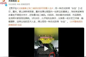 小伙给父亲墓碑贴二维码：让他的艺术人生，用另一种方式获得“永生”图片