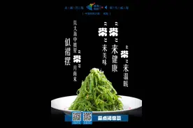 威海海鲜“码上”品鲜系列海报图之九：荣成裙带菜图片